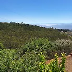 Esther * Las Palmas de Gran Canaria